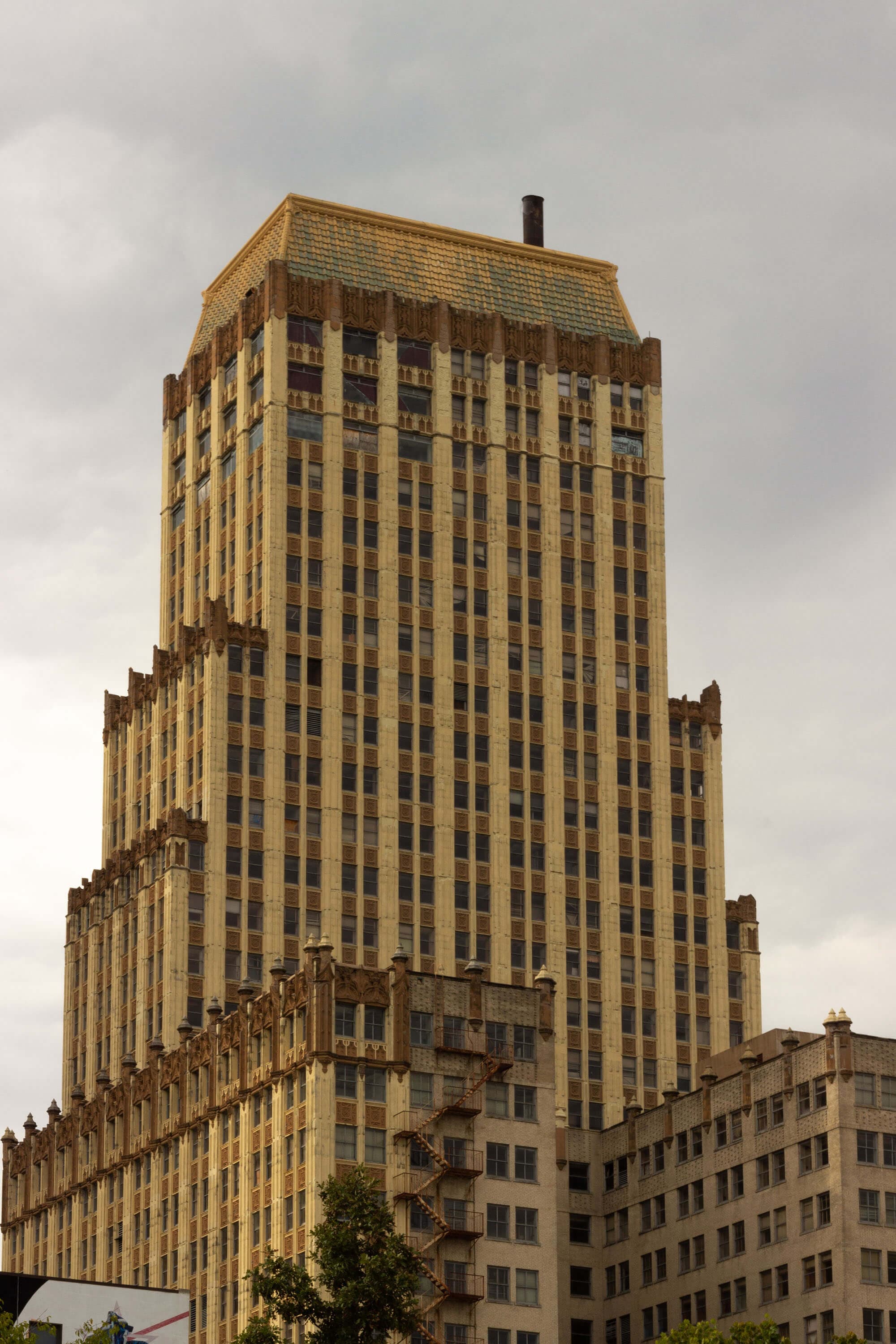 photographer image 1