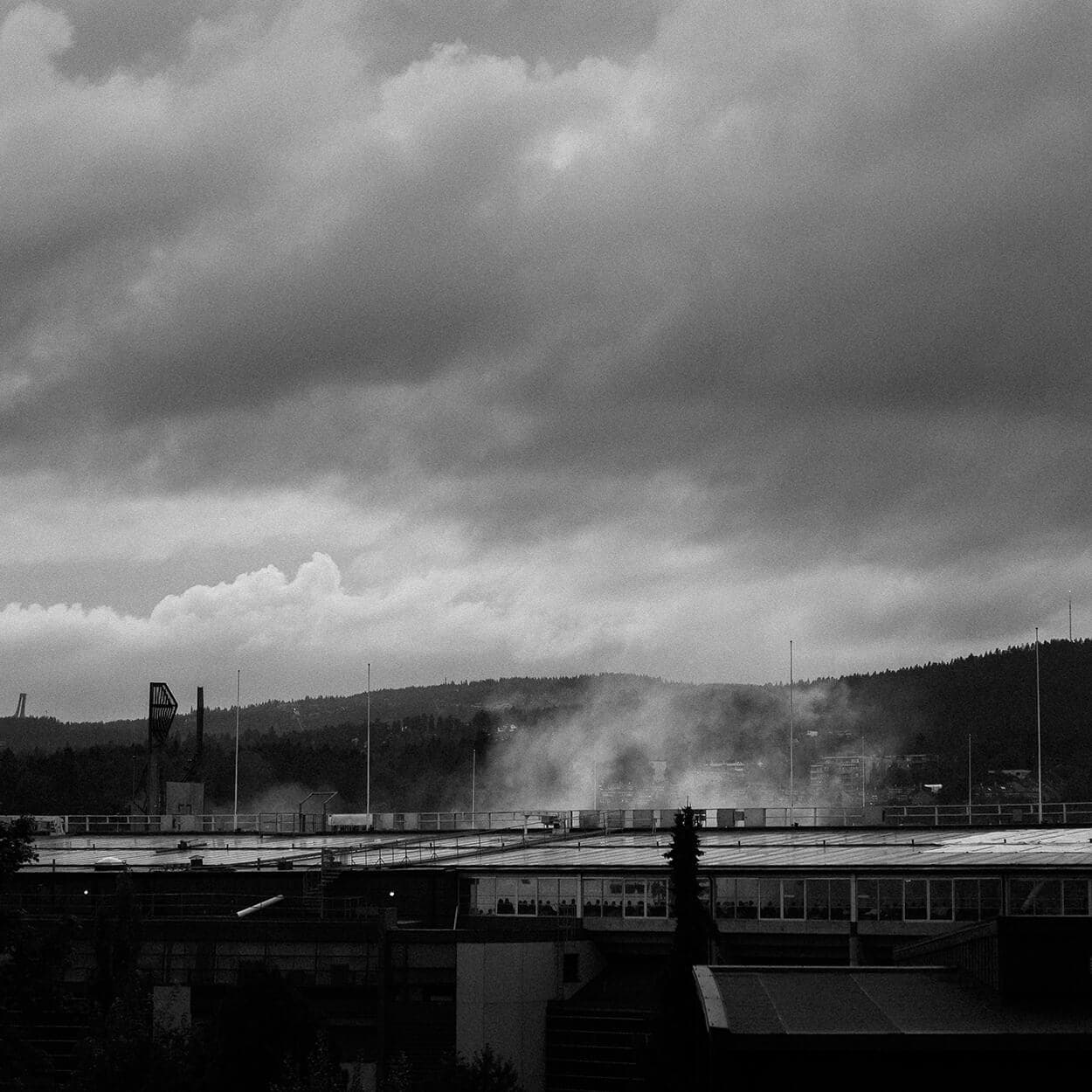 photographer image 1