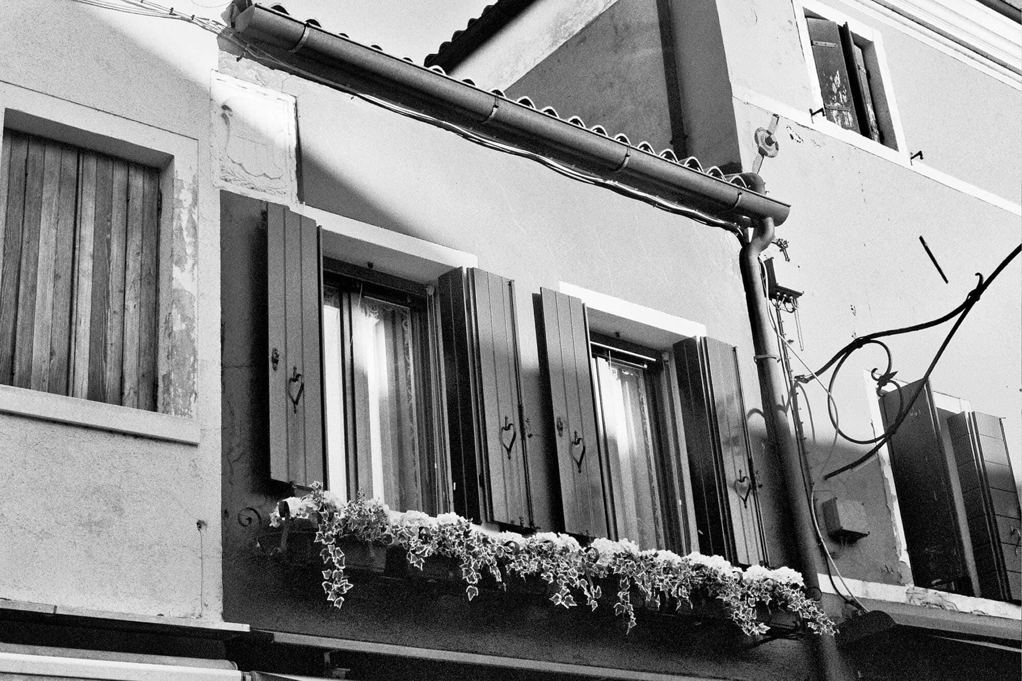 photographer image 3