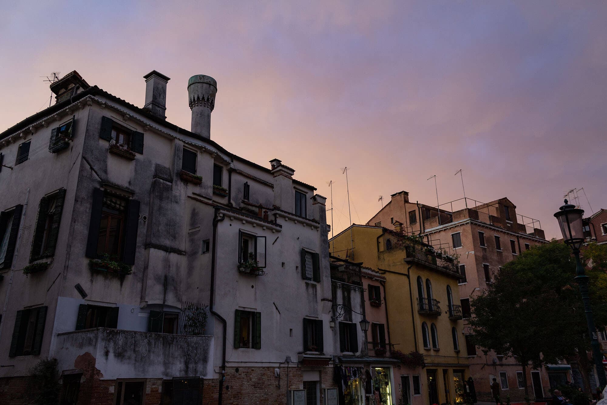 photographer image 2